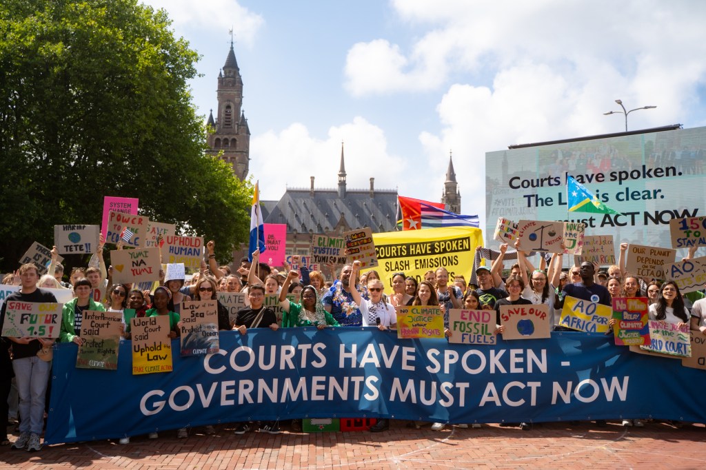 Crowd of activists in front of ICJ building holding posters and flags in support.