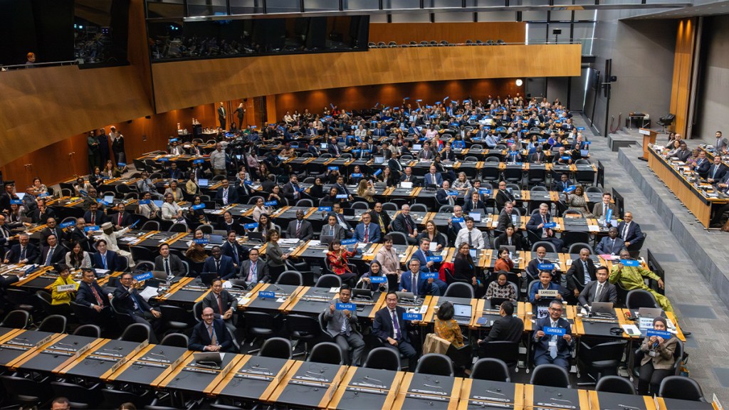 crowd of people seated in WTO assembly